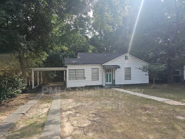 Primary Photo - 217 Willow St