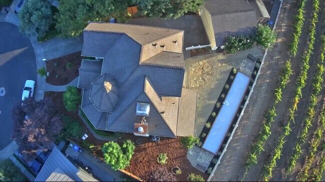 Building Photo - Pet Friendly! Walk to Downtown