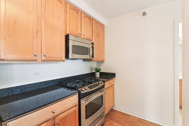 Building Photo - 1160 S Michigan Ave