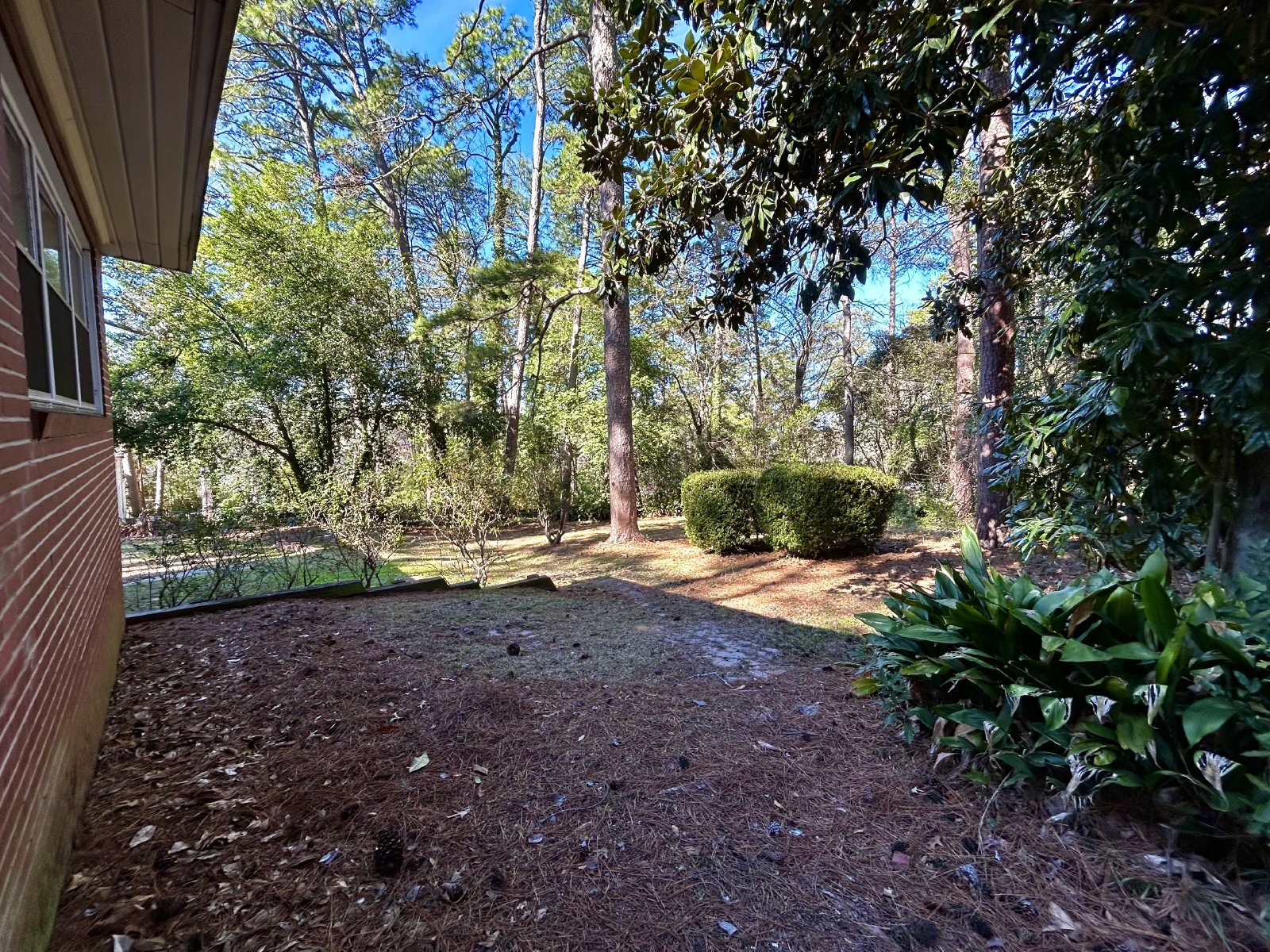 Back Yard 1 - 2919 Henry St