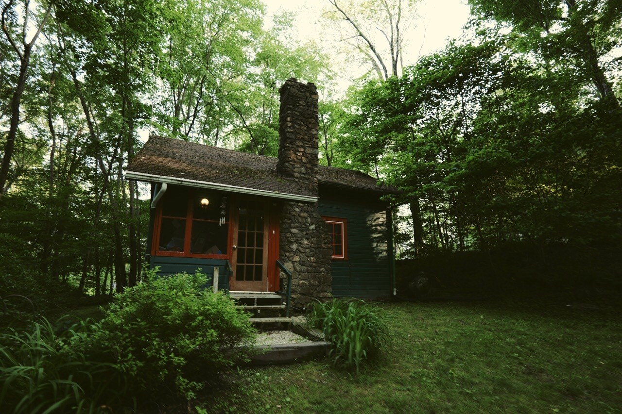 Exterior of Guava Studio cabin in a peaceful wooded setting (summer) - 20 Victoria Way