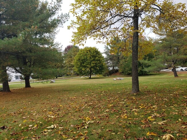 Shared Yard - 8 Everett Ct