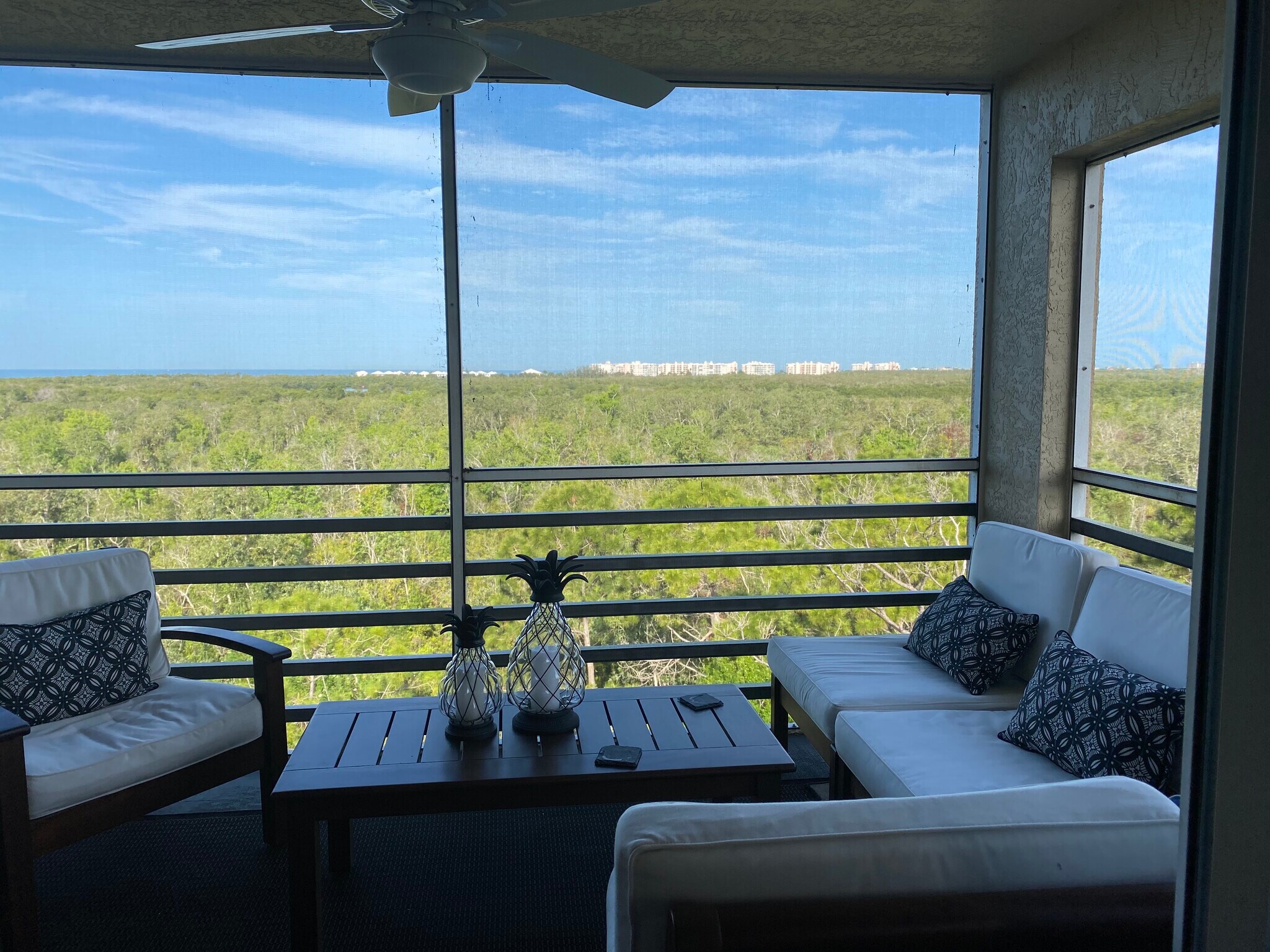 Lanai w/ view of the Gulf of Mexico - 15171 Cedarwood Ln