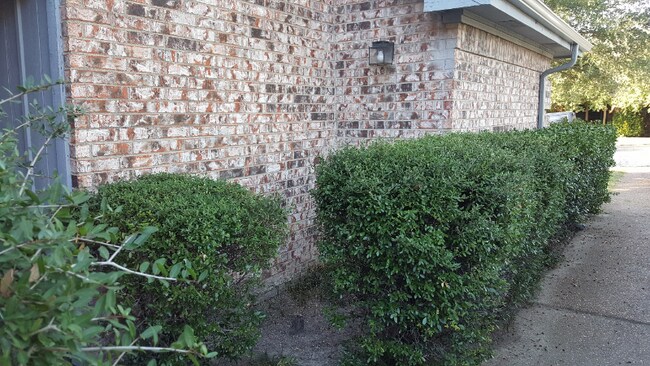 Building Photo - 9716 Summerwood Cir