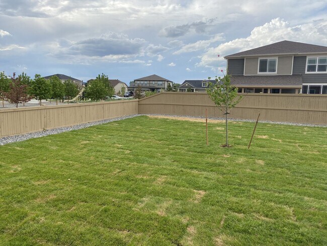 Building Photo - Don't Miss This Stunning 4 Bed/2.5 Bath Home in Harvest Junction, Longmont!  Available September!