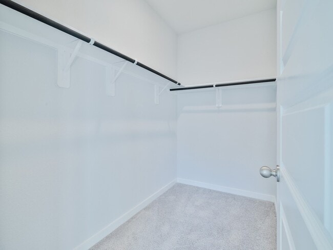 Building Photo - 8583 Blueberry Ash St