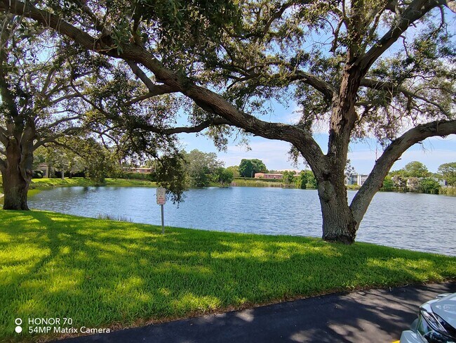 Building Photo - Rent to Own Bright 2B/1B Condo – St. Andrews Cove, Clearwater