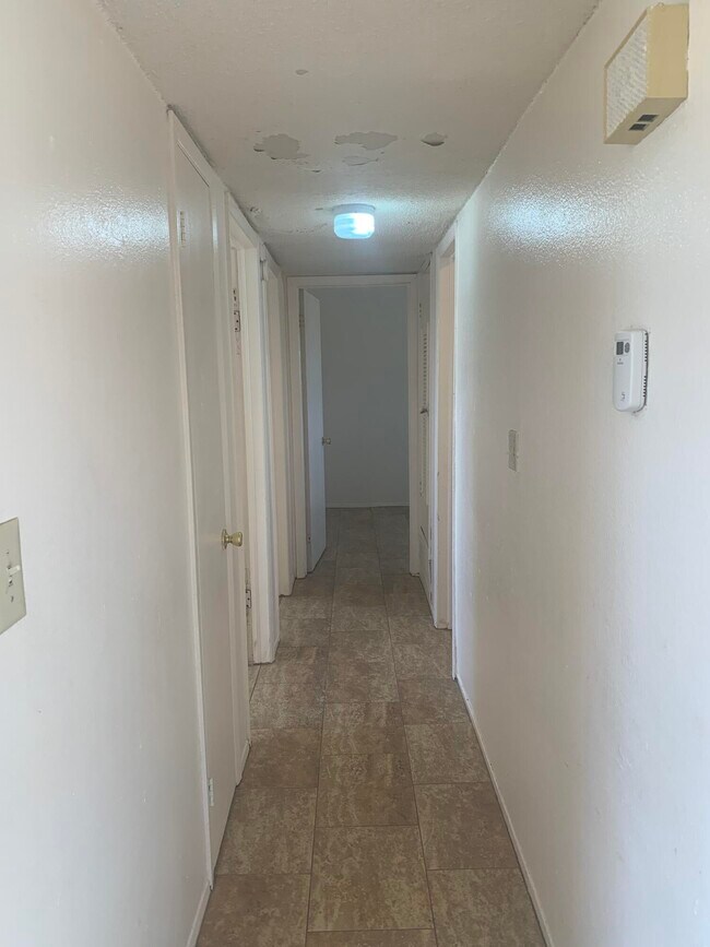 Building Photo - 703 Hilton Ave