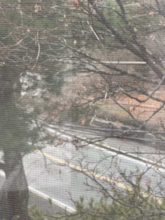 Building Photo - 78 Lorenzo Cir