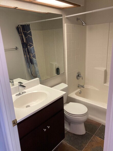 Second bathroom--Master bathroom has a new tiled shower, skylight and large soaking tub - 2596 Black Walnut Rd