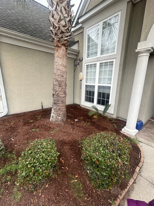 Building Photo - 4 BR, 2 BA unit in Wild Wing - Coming Soon!