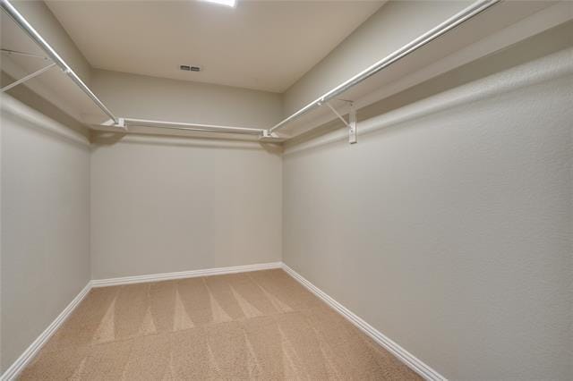 Building Photo - 3409 Paisano Trail