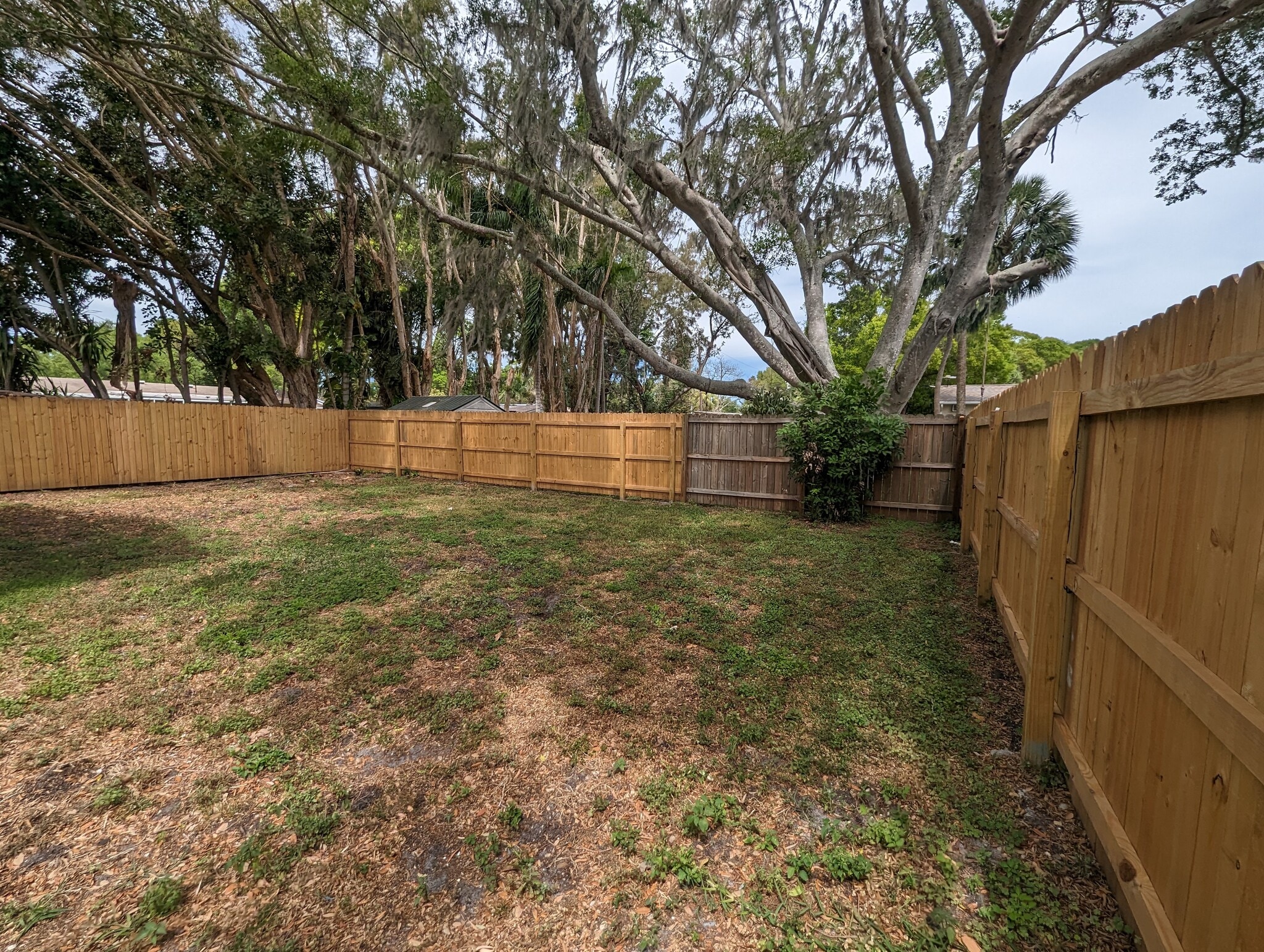 Back Yard - 2608 19th Ave W