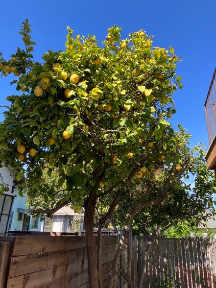 Building Photo - 945 40th St