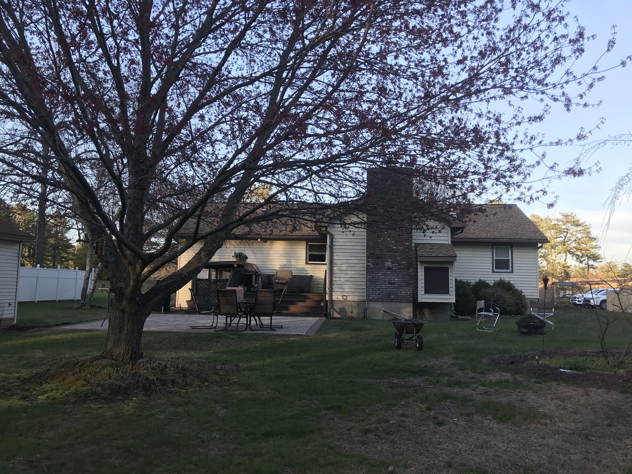Back yard - 1405 Kings Rd