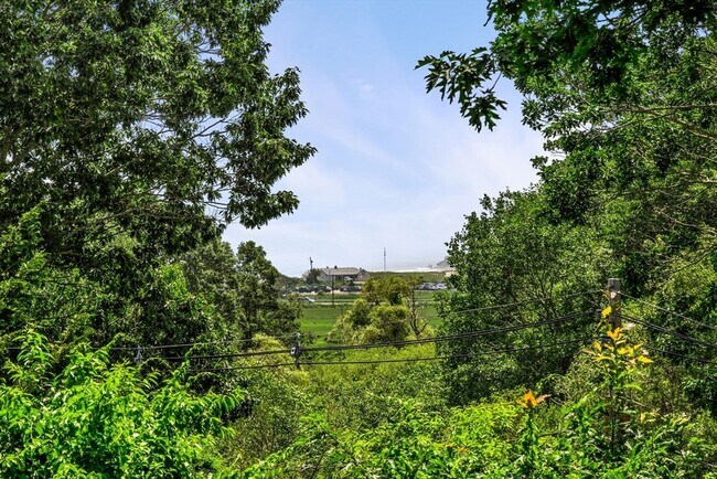 Building Photo - 22 Witham St