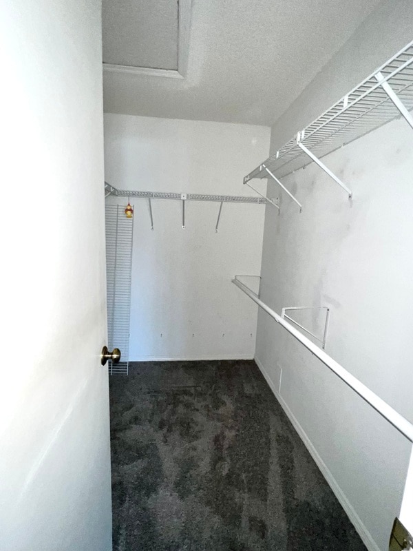 Building Photo - 7744 St Andrews Blvd