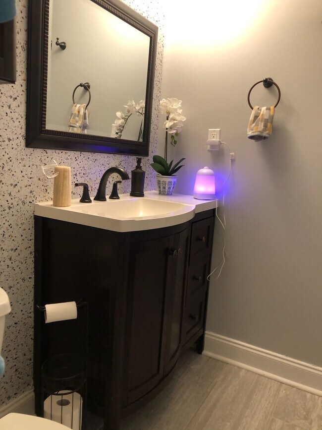 large full hall bathroom - 101 Bowers Ct