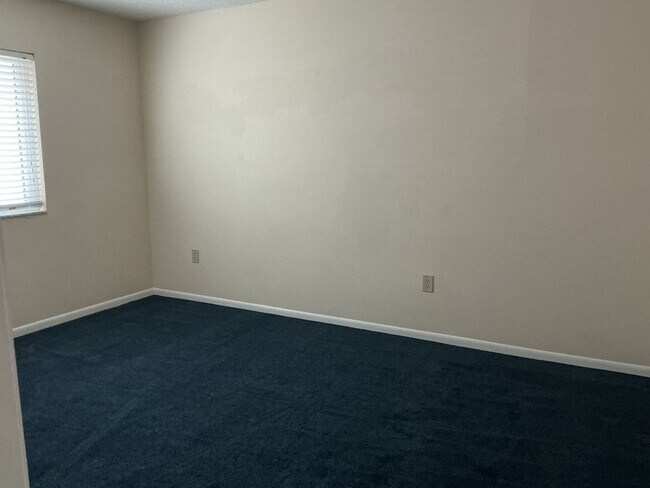 Building Photo - Lakeview Condo Available | Directly Across from Lake Hollingsworth