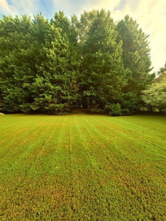 Building Photo - 3313 Beech Hollow Ct