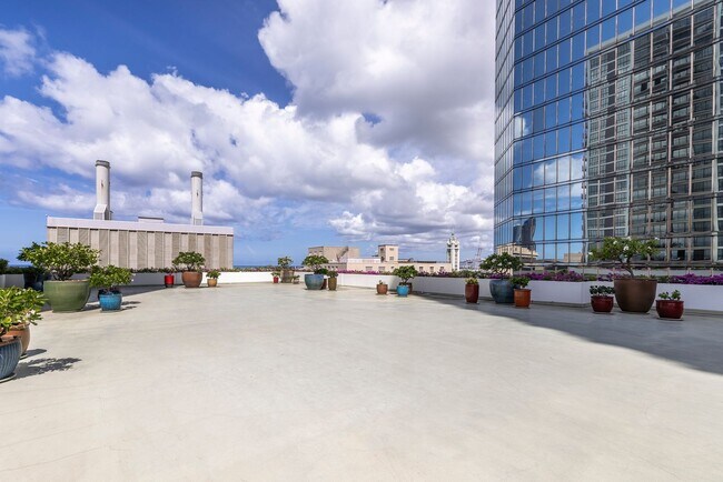 Building Photo - Harbor Square Condo