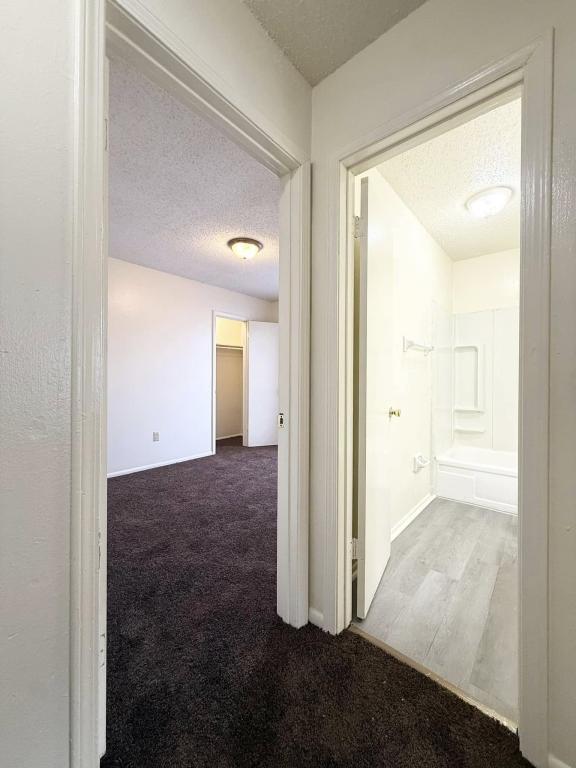 Building Photo - 1624D Newport Place