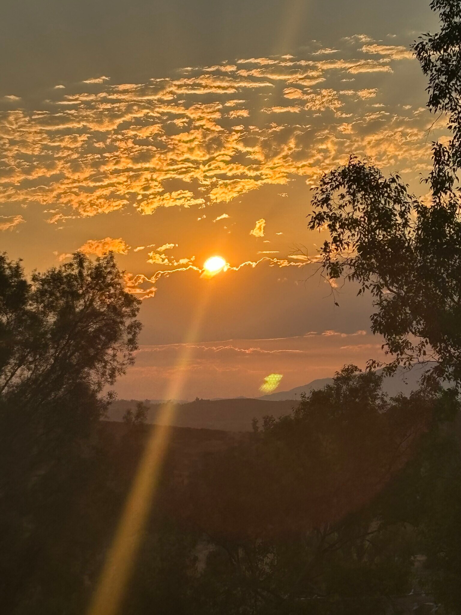 Building Photo - 16840 Bell Ave