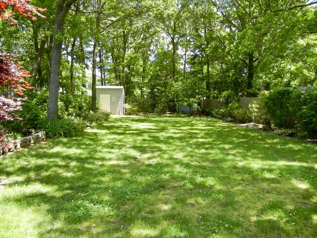 Huge Backyard w/2 sheds - 46 Forrest Ave
