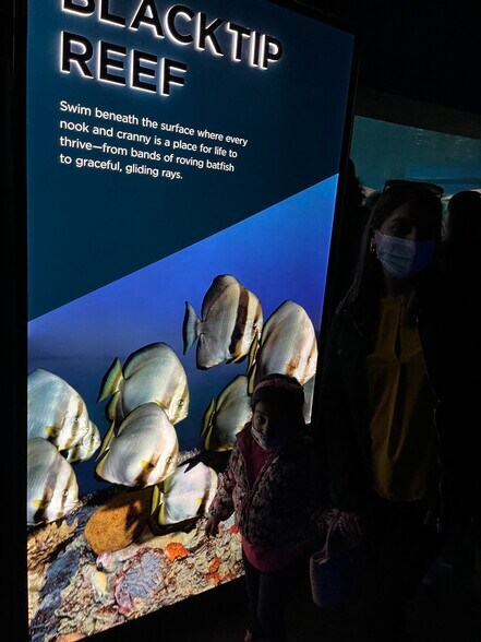 Building Photo - 1701 Spence St