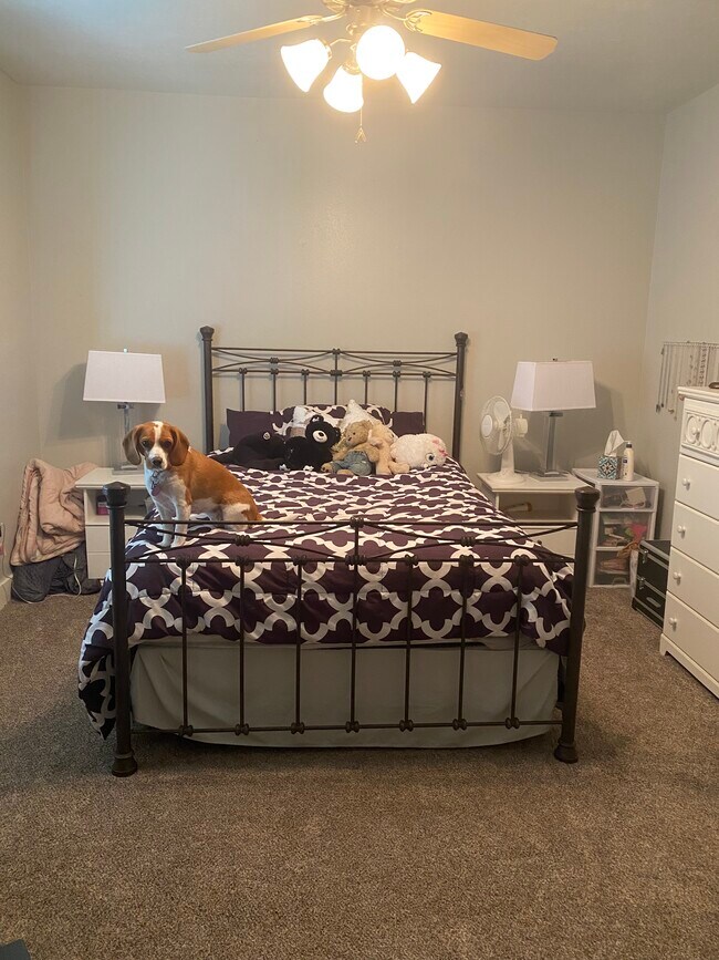 Primary Photo - 2182 N Springtime Dr