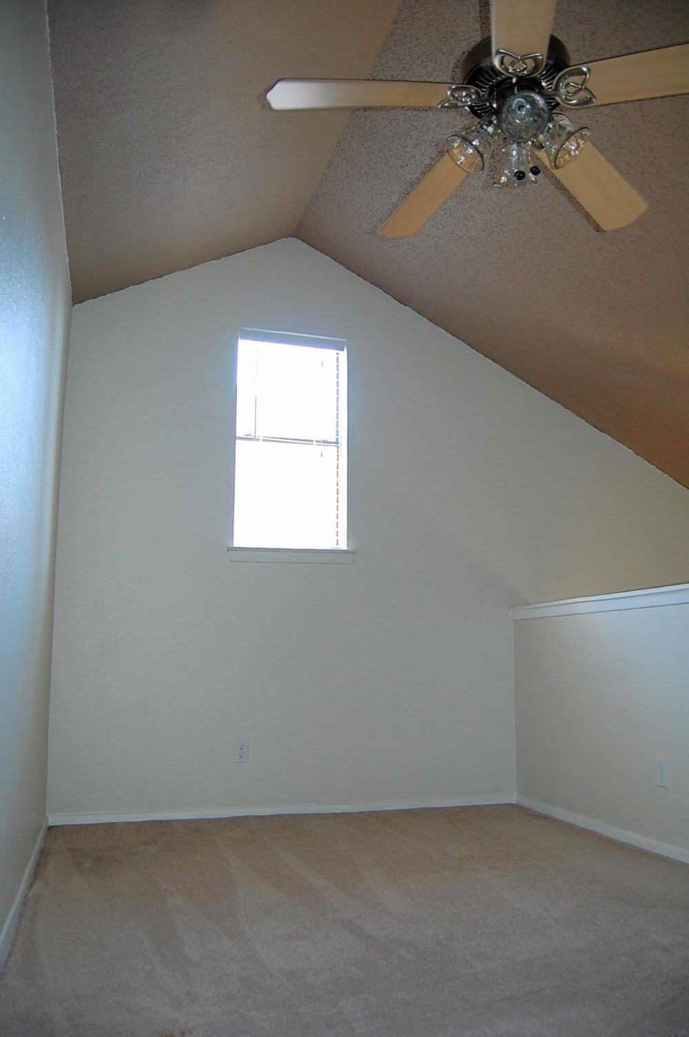 Natural Light - 2500 Burleson Rd