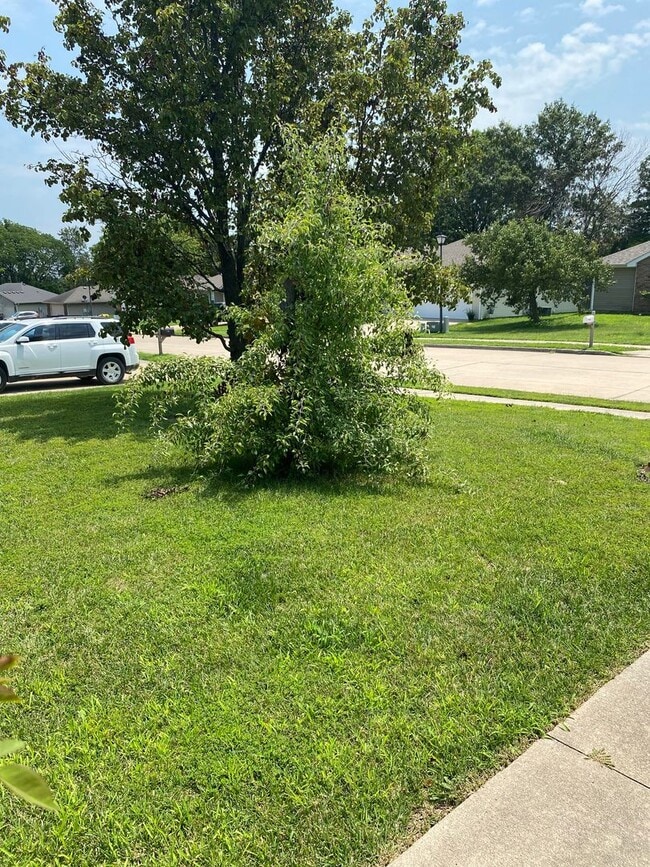 Building Photo - 3 bedroom/2 bathroom single family home!  ...