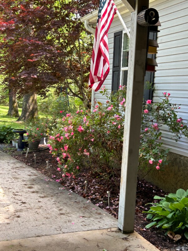 Building Photo - 33 T and E Ln