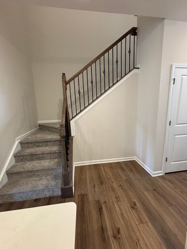 Building Photo - Brand new Townhome in Chestnut Springs