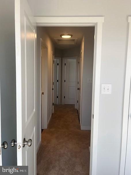 Building Photo - 148 Olga Dr