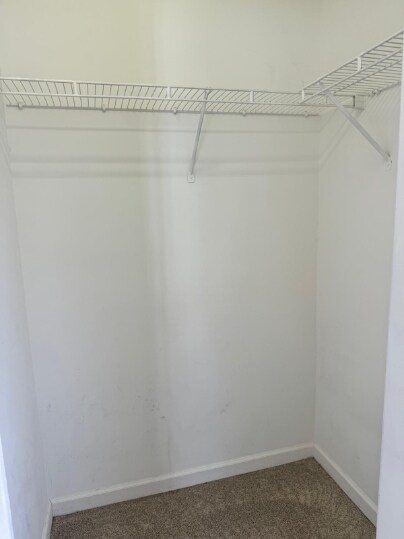 Building Photo - 2021 Wolf Tech Ln