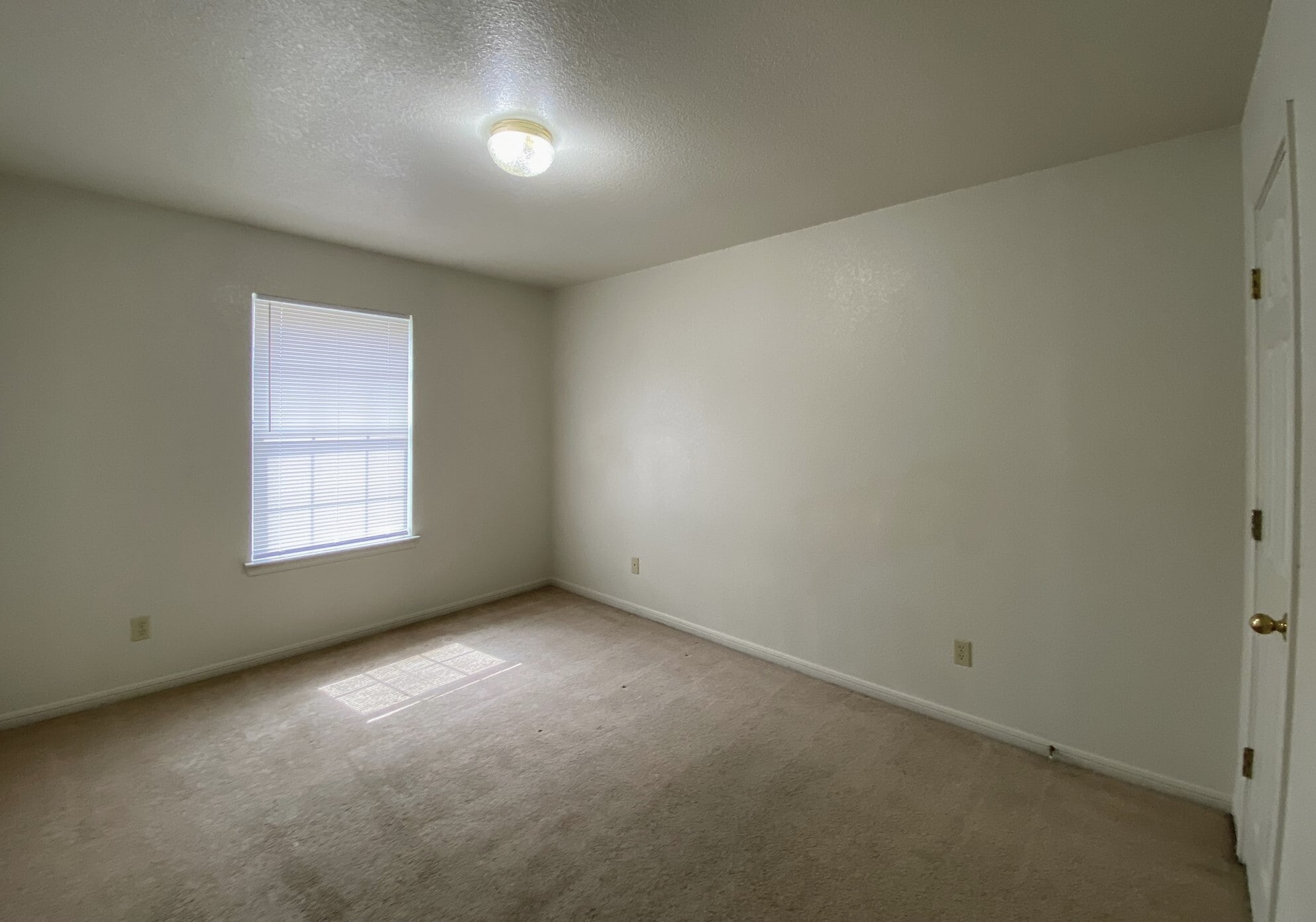 Building Photo - 2703 Vernice Loop