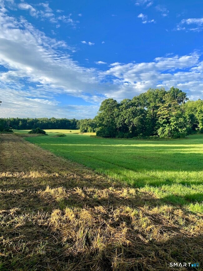 Building Photo - 87 Beaver Dam Rd