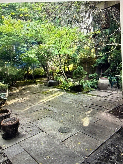 Backyard - 2543 NE 31st Ave