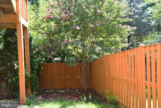 Building Photo - 22578 Scattersville Gap Terrace