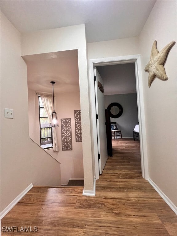 Building Photo - 13531 Siesta Pines Ct