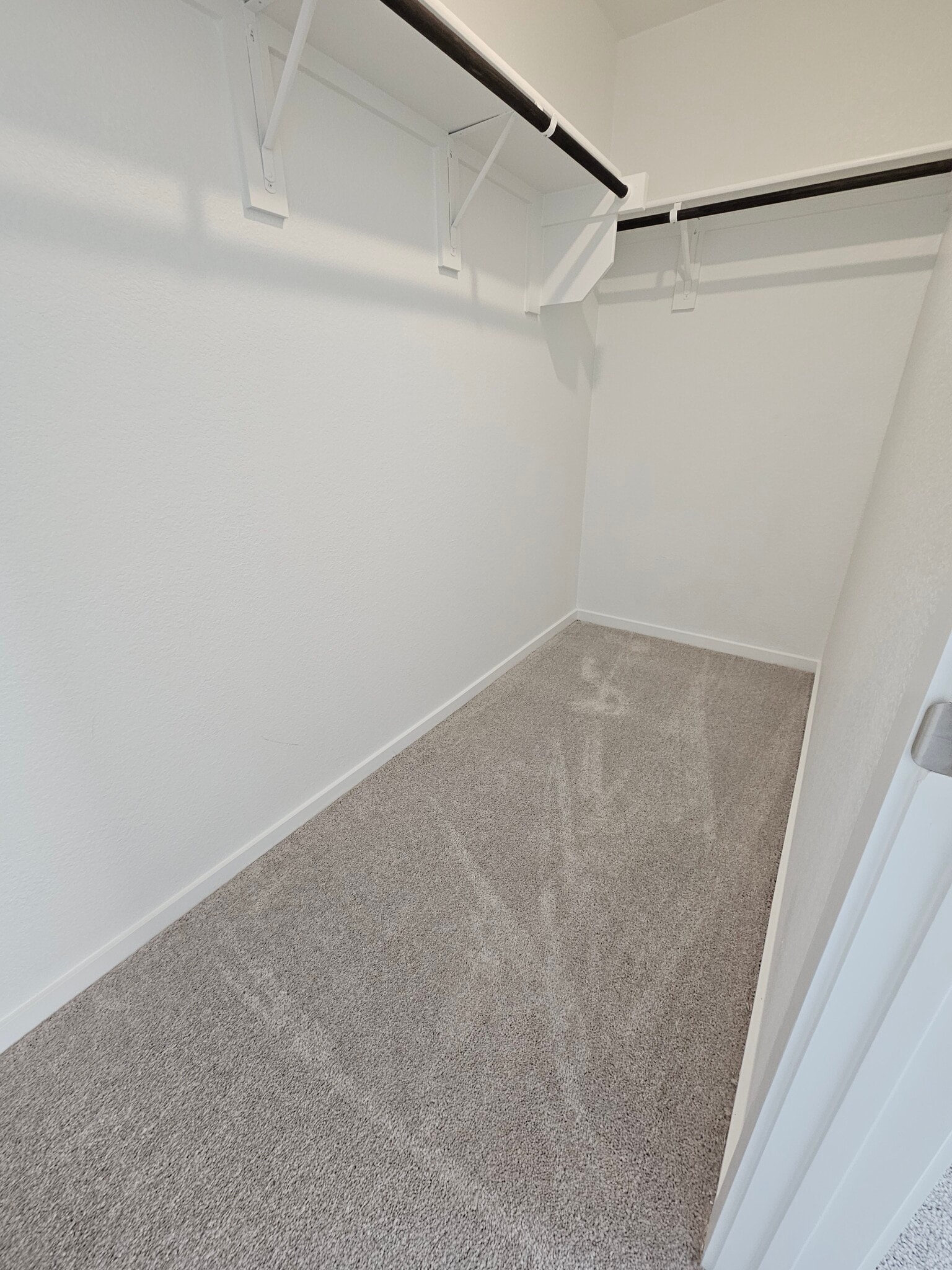 Primary Walk in Closet - 302 Asterwood Ln