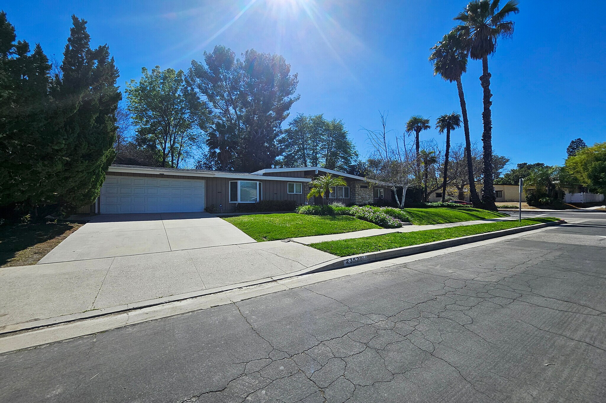 Building Photo - 23526 Dolorosa St