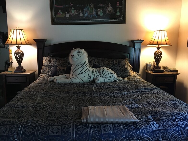 Building Photo - 2366 Nichols Canyon Rd