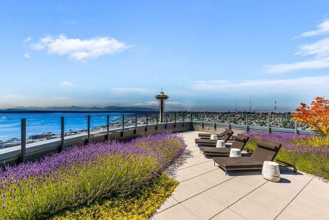Building Photo - Luxury Living at Spire