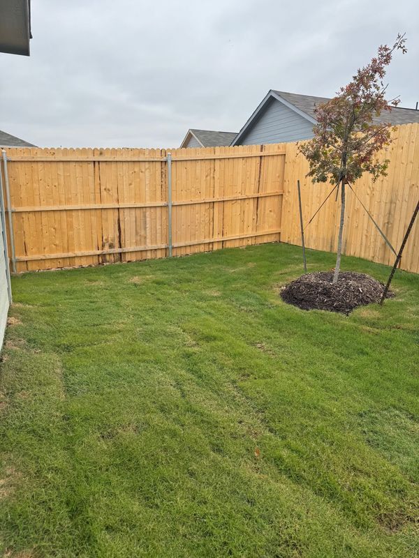 Building Photo - 11719 Bone Spg Dr