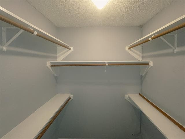 Building Photo - 10216 Pack Saddle Ct