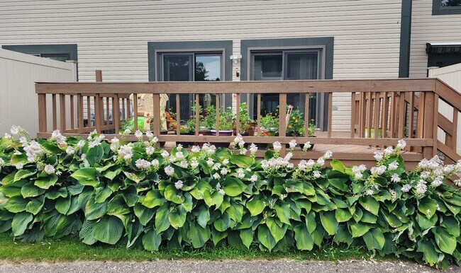 Building Photo - Spacious 3 bedroom Condo near Northville d...