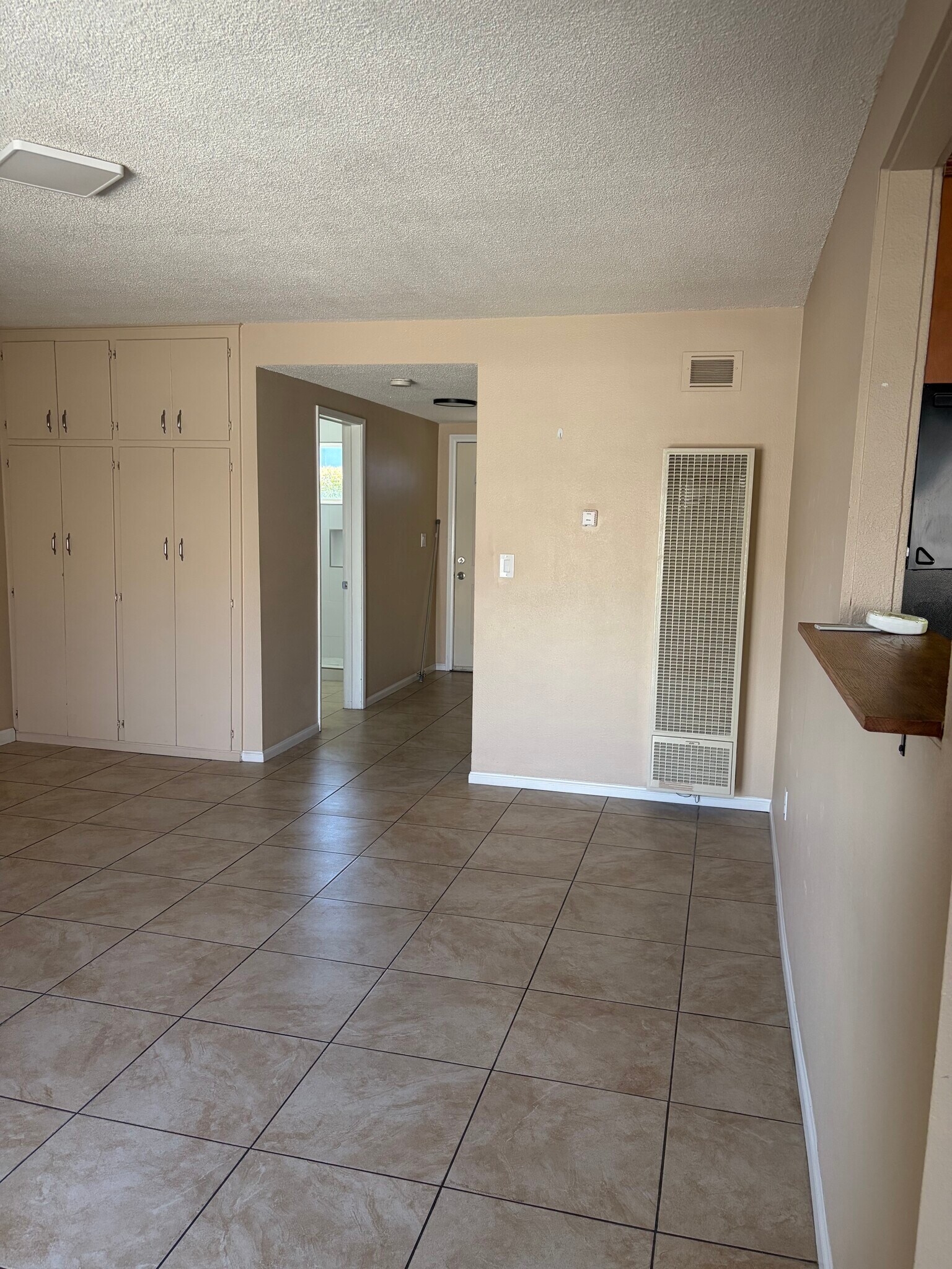 Living room has extra storage cabinets - 375 Vernon Drive