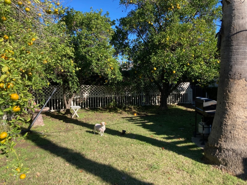 Building Photo - 8831 Debra Ave